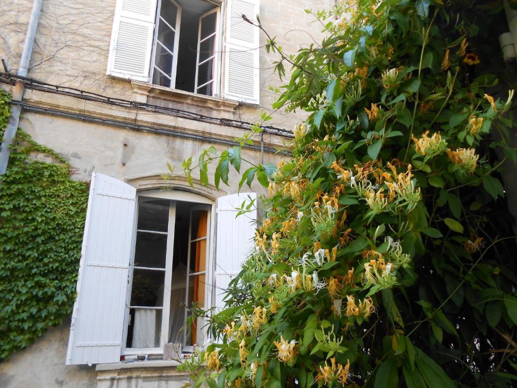 Cocooning Avignon Hotel Luaran gambar